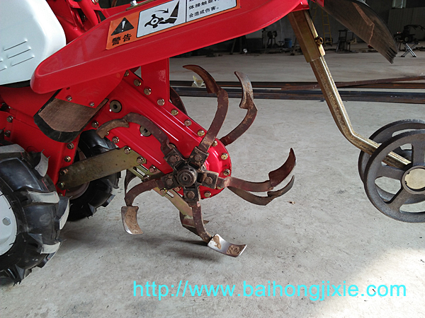 丝瓜成人污视频