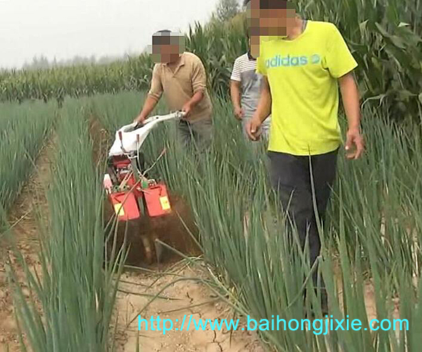 開溝丝瓜视频色版APP在大蔥地中的應用