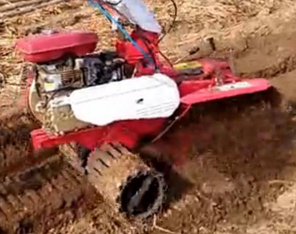 開溝丝瓜视频色版APP