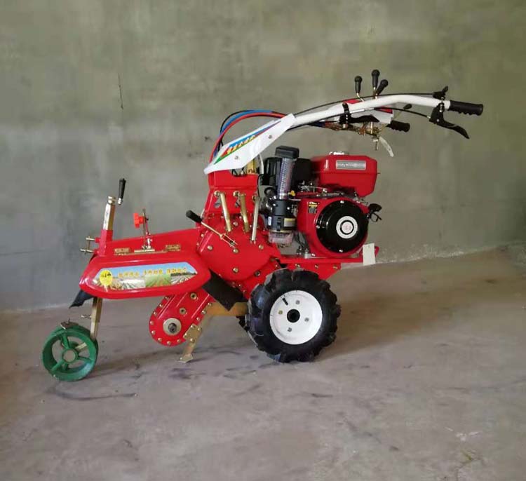 土豆開溝丝瓜视频色版APP收貨原來這麽神奇！